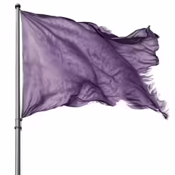 the flag of purple is flying in the wind