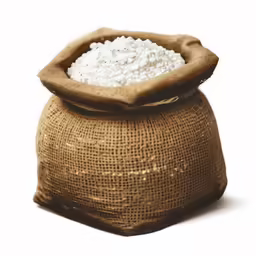 a bag full of white rice sitting on top of a white counter