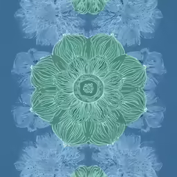 a digital photo of an abstract flower