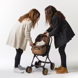 two young women pushing a stroller and pushing another walking with it