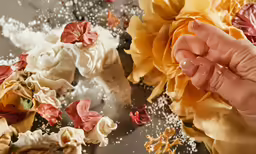 this is a closeup of flower petals on a piece of cloth