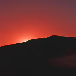 a lone cow is sitting on a hill during the sunset