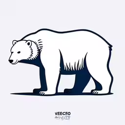 there is a polar bear standing alone on a white background,a polar bear is standing in a white and blue illustration,a bear on a white background with a blue border,a large white polar bear standing on the ground,a picture of a large white polar bear