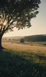 the sun rises over an open field with trees and grass