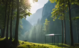 a wooded clearing with a white tent in the foreground