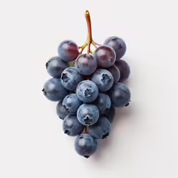 a bunch of grapes on a white surface