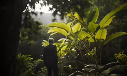 a man standing in the middle of a lush green forest