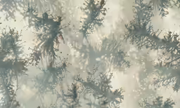 trees and leaves in a cloudy area are painted gray and gold