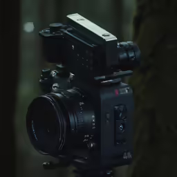 a camera attached to the side of a tree in a forest