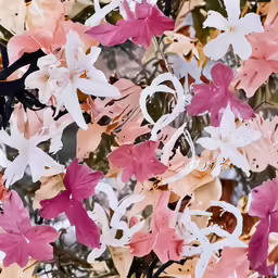 this image was taken in a park and is beautiful with colorful flowers