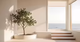 a bonsai tree sitting on a sunny day by the beach
