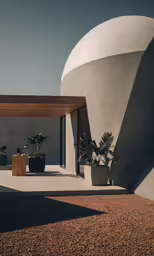 some potted plants and concrete near a building
