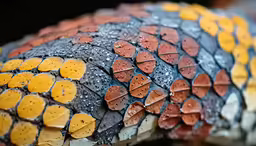 colorful and detailed detail on some kind of umbrella