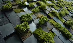 rows and rows of plastic plants on a pavement