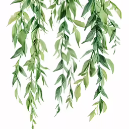 some watercolor painting of a plant and tree
