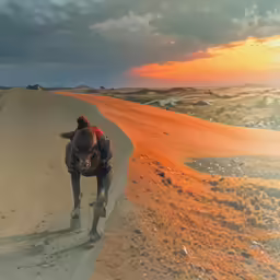 man riding a horse in the middle of an open desert