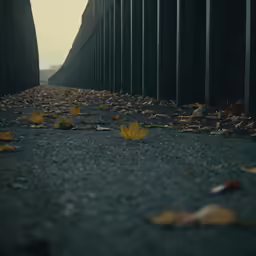 two people walking down a trail between a wall and grass