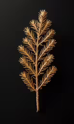 a small tree branch on a black background