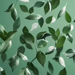 leaves floating on the ceiling in a room