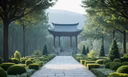 a park that has a bunch of trees around it