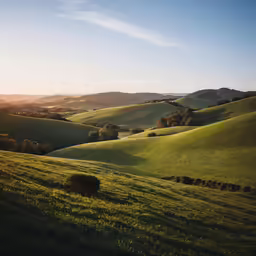a green grassy landscape with rolling hills