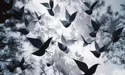 there is a tree that has many leaves