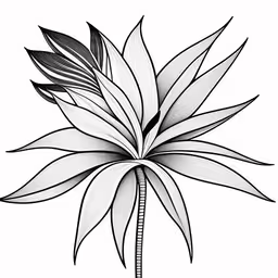 an illustrated flower, from the book,,an image of a flower that is drawn in ink