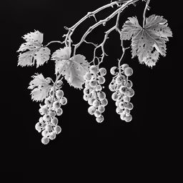 grapes hanging from a branch with leaves