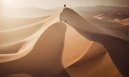 two people on top of sand dune in desert