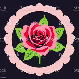 a red rose in a circular frame with leaves on a black background,a red rose in a pink oval frame on a black background