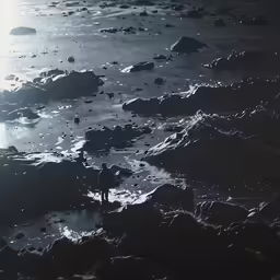 man looking over rocks into ocean with oceanweed