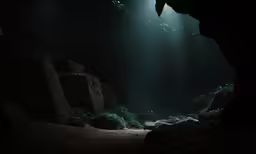 a cave entrance with some green plants and bright beams
