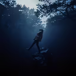 a person walking across a dark, shadowy forest