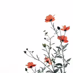 an image of a flower that is orange