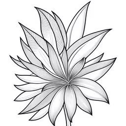 the flower drawing is done in the form of a large, circular flower,an illustration of a flower on a white background