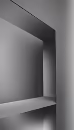 black and white photograph of the corner shelf in a room