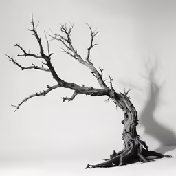 a tree without leaves in the snow
