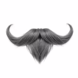 the moustache mustache on this photo is an illustration
