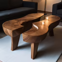 a living room scene with two modern style tables and couches
