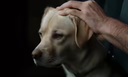 a man that is holding a dog up for the camera