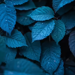 green leaves with water droplets hanging from them