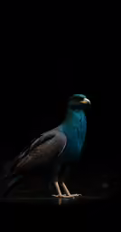 the bird is sitting alone and gazing