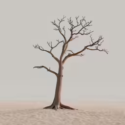 an isolated dead tree on a snowy plain