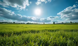 this is the sun shining through the clouds over some grass
