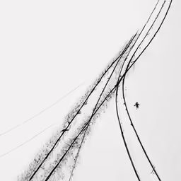 two birds flying close to a wire holding the wires