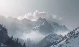 a snow covered mountain surrounded by evergreen trees