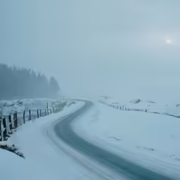 a snowy road winds through a fence and trees