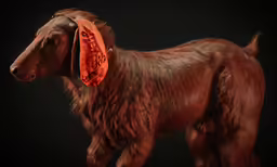 a very cute long haired dog wearing a bandana