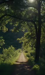 an image of a person walking up a trail