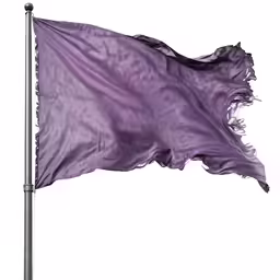 a purple flag flies against a white background